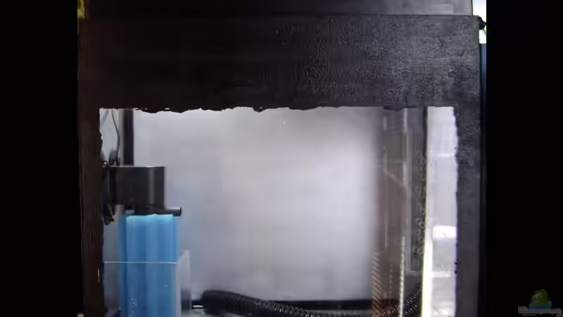 Bau eines Refugiums für Meerwasser-Aquarien