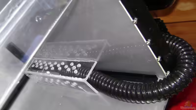 Bau eines Refugiums für Meerwasser-Aquarien