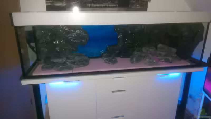 Bau Rückwand 4.mit Polyesterharz bestrichen und gewässert von Balian (10)