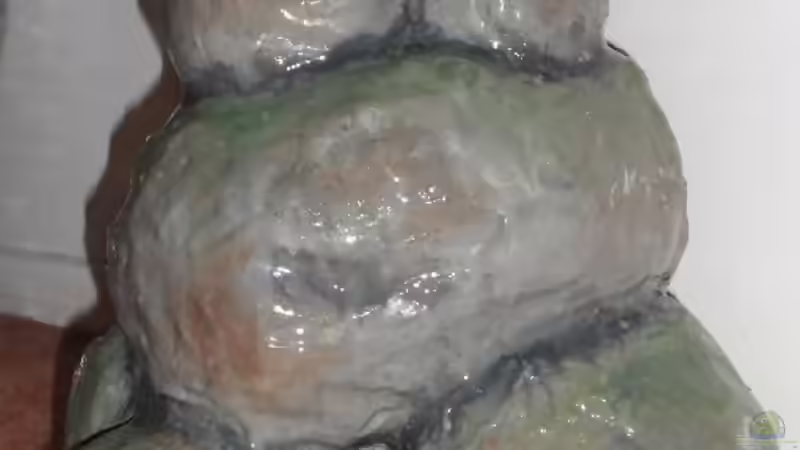 Bau Rückwand und Steine von Malawi TOM