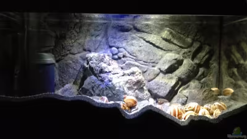 Bauarbeiten sind deutlich erkennbar von der Steirer (6)