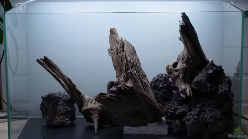 Bauphase von Micha... (33)