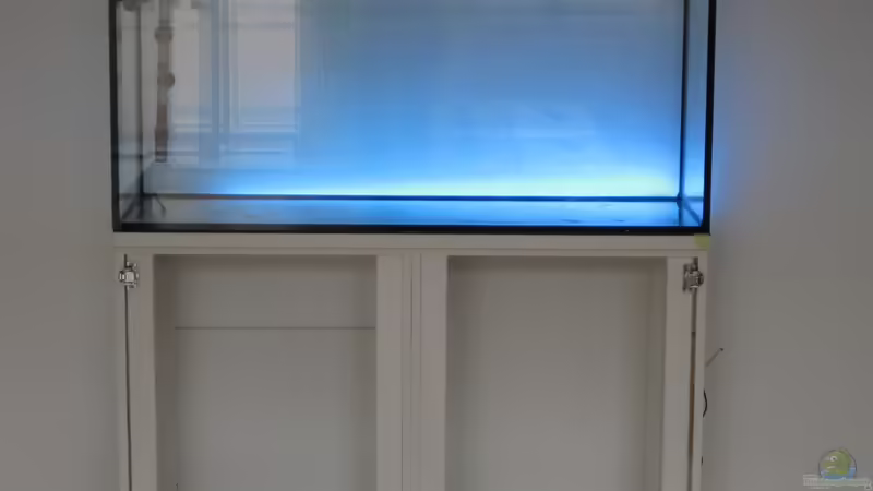 Bauphase von Ron Berlin (3)