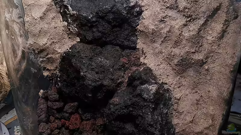 Bauphase von Stephi (3)