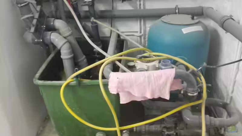 Beadfilter mit vortex von Leopold68 (37)