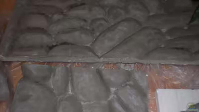 Bearbeitete Rückwand vor dem einbau von ptobias (4)