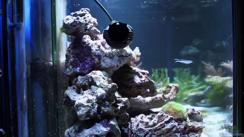 Becken - Ansicht linke Seite von Micha (3)