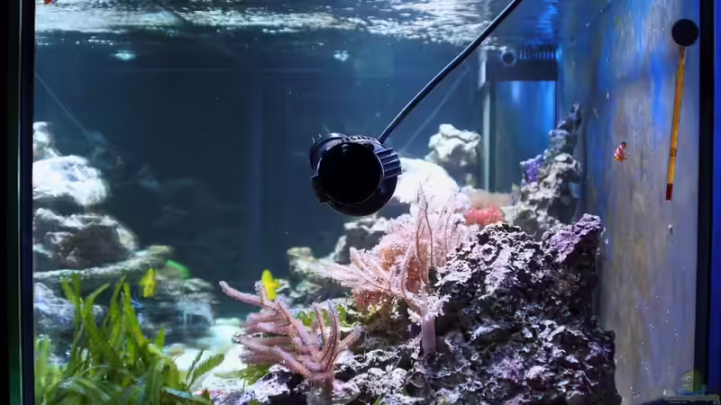 Becken - Ansicht rechte Seite von Micha (4)