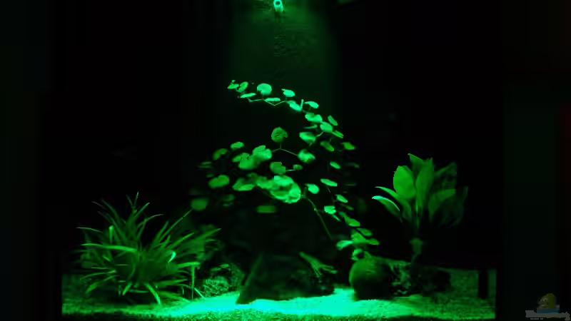 Becken - Beleuchtung durch LED-Technik von auecheck (3)