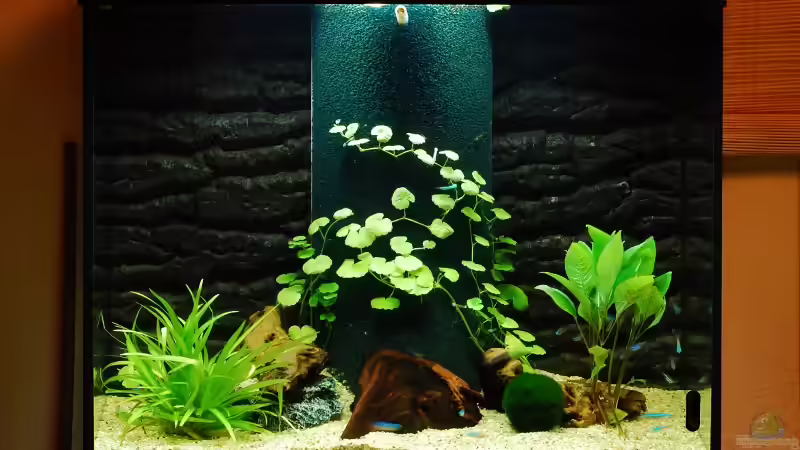 Becken - Beleuchtung Neon-Röhre von auecheck (2)