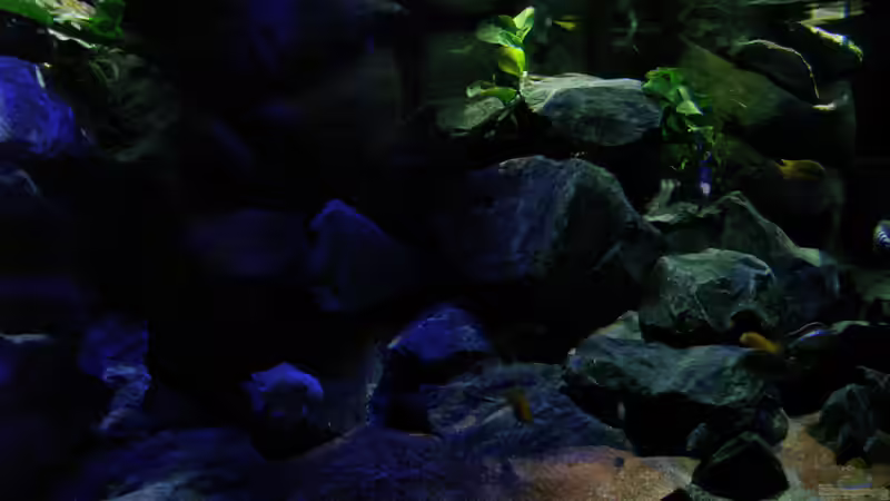 Becken- (Farb-)übergang von tief nach flach... von bossie1704 (41)