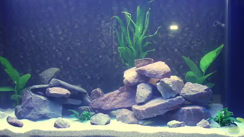 Becken  von Uwe Zawadski (2)