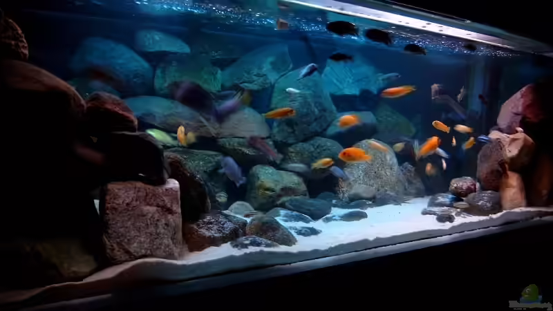 Becken 01. 2007 von Helgo Jacob (4)