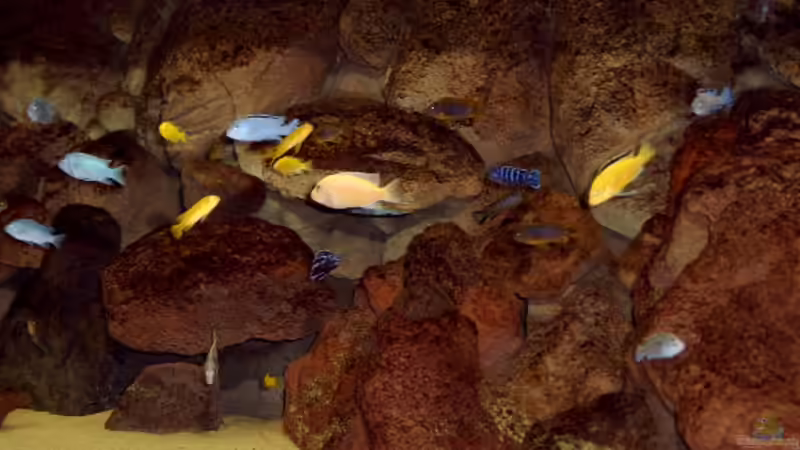 Becken 1/2 Jahr alt von Roland Elsenbruch (15)