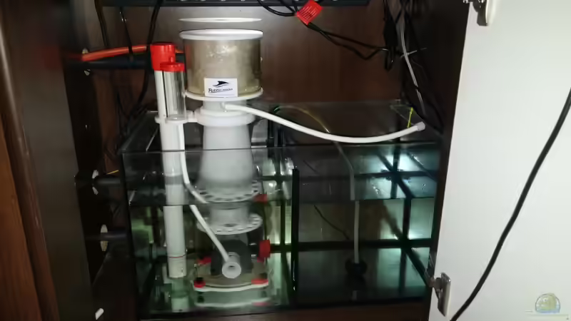 Becken 1 rechte Seite von Thomas Schneider (7)