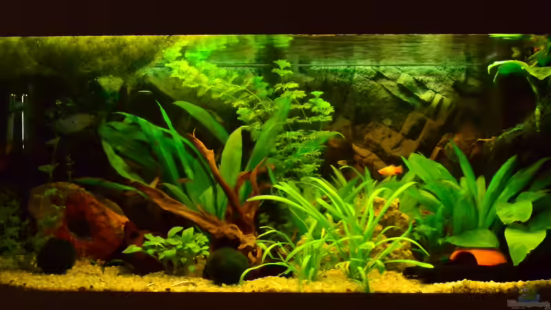 Becken 1 von Jan Marc (2)