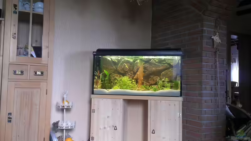 Becken 18.10.2013 von Jan H. (6)