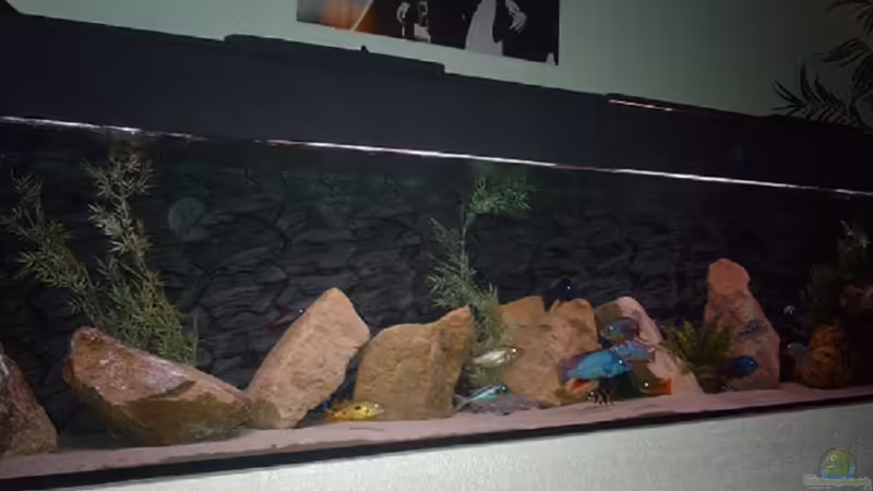 Becken 1960 Liter von Peter Bauer (1)