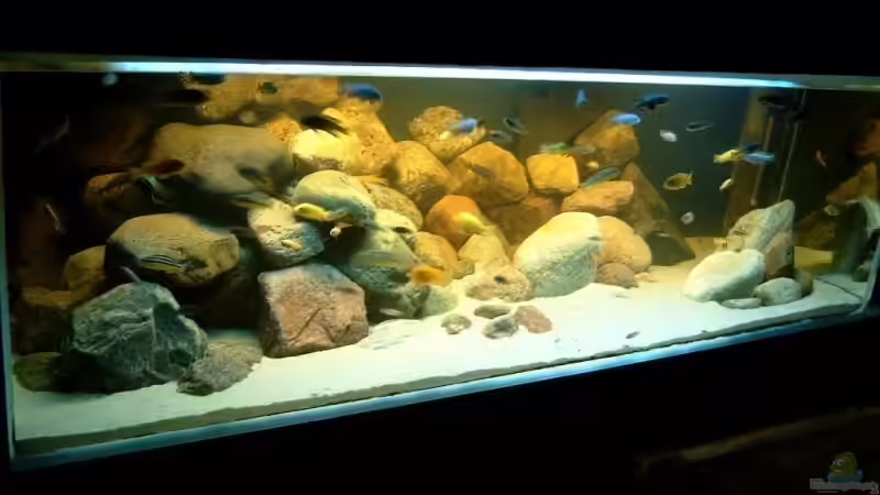 Becken 2005 von Helgo Jacob (2)