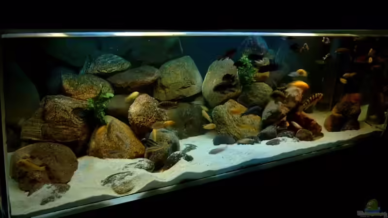 Becken 2006 von Helgo Jacob (3)