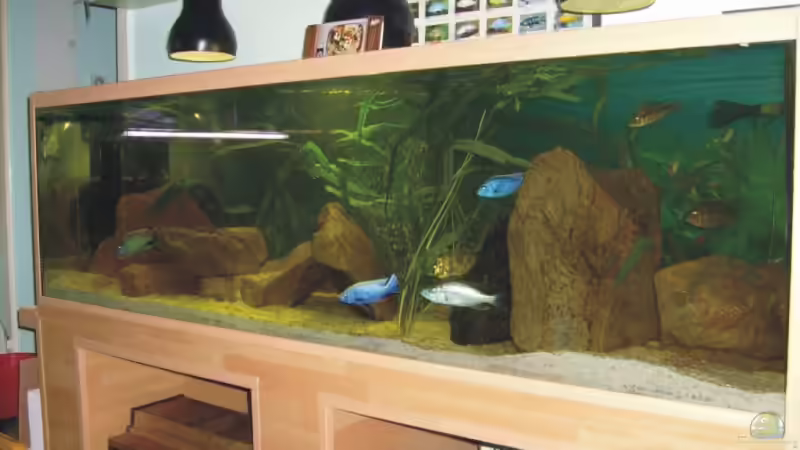 Becken 200x60x60 cm von Andreas Rode (1)