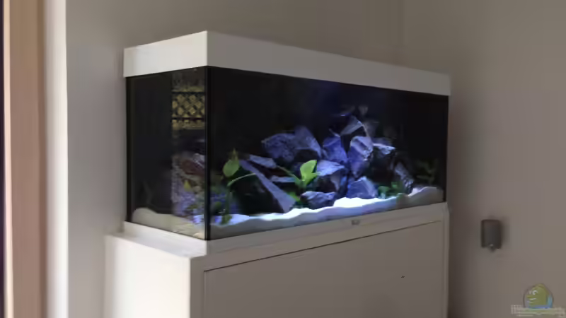 Becken 24.01.2014 noch ohne Besatz von Benjamin Schmider (1)