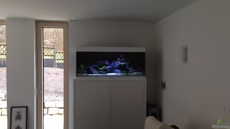 Becken 24.01.2014 noch ohne Besatz von Benjamin Schmider (2)