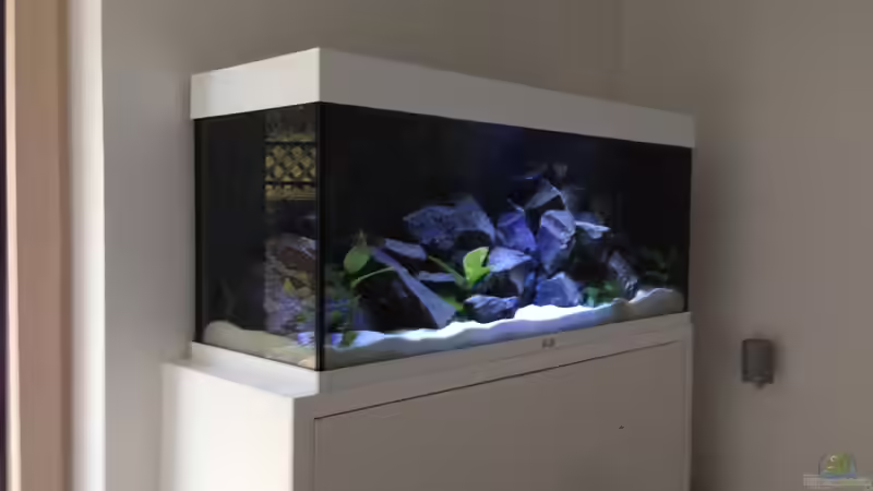 Becken 24.01.2014 von Benjamin Schmider (4)