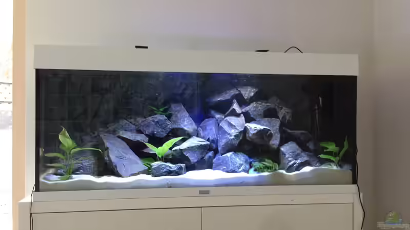 Becken 24.01.2014 von Benjamin Schmider (5)