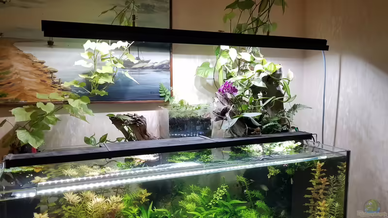 Becken 27.01.2021 von Smo (26)