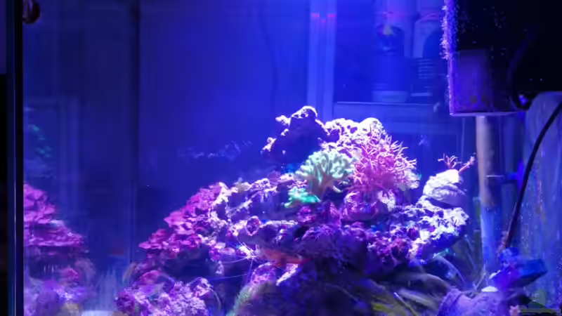 Becken 27.2.17 von -Mark- (3)