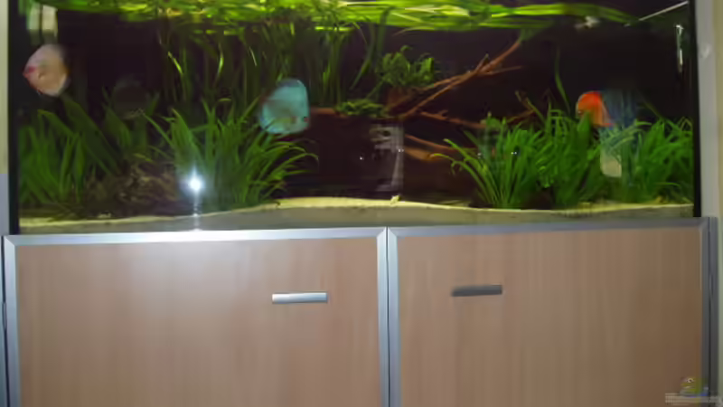 Becken 29.06.2007 von Ronny Derndorfer (9)