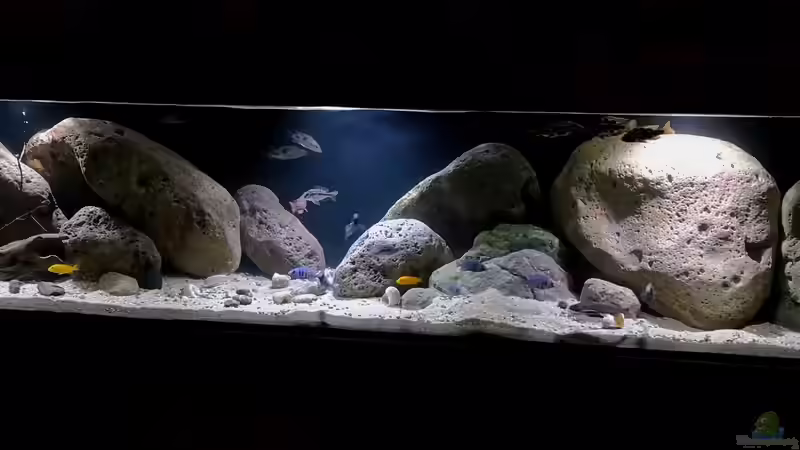 Becken 300x60x55 von Florian Bandhauer (7)