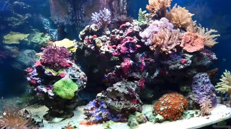 Becken 31.07.09 von Dirk Schäfer (20)