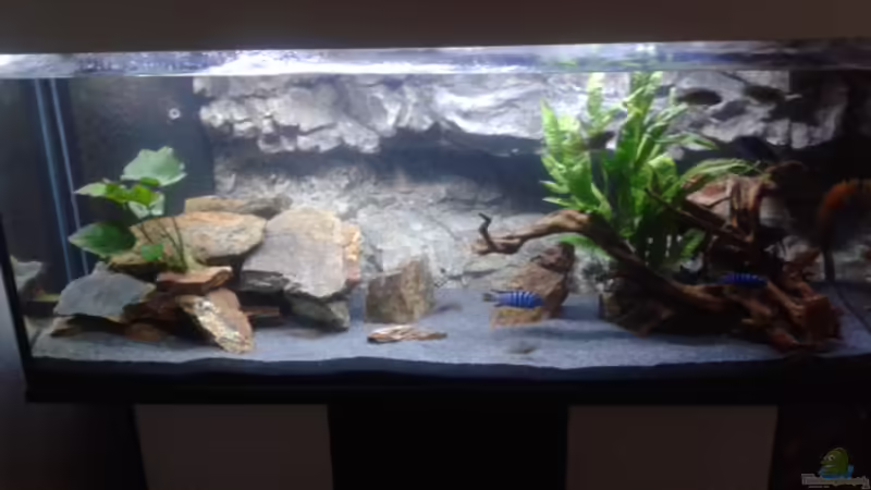 Becken 4/2014 von FunkyTraut (21)