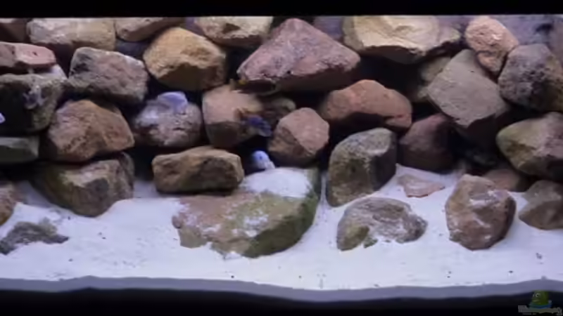 Becken ab 14.10.09 von caoz78 (1)