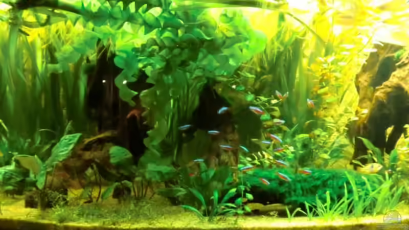 Becken Abends ... 31.03.2011 von Sirko Fricke (20)