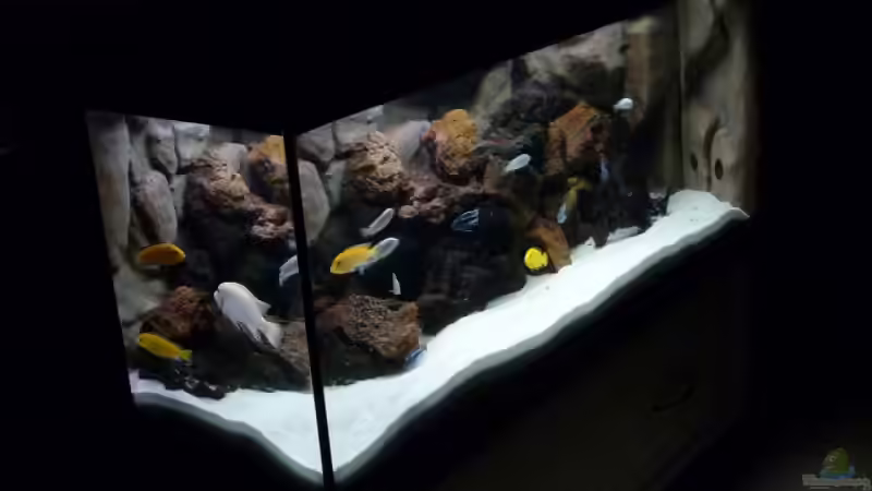 Becken alt von caoz78 (2)