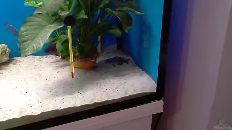 becken alt von cracky (10)