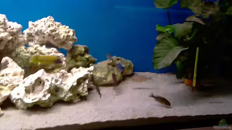 becken alt von cracky (11)