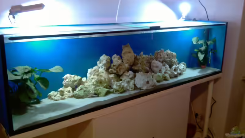 becken alt von cracky (13)