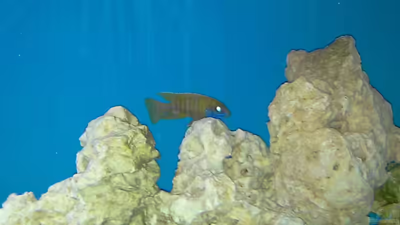 becken alt von cracky (14)