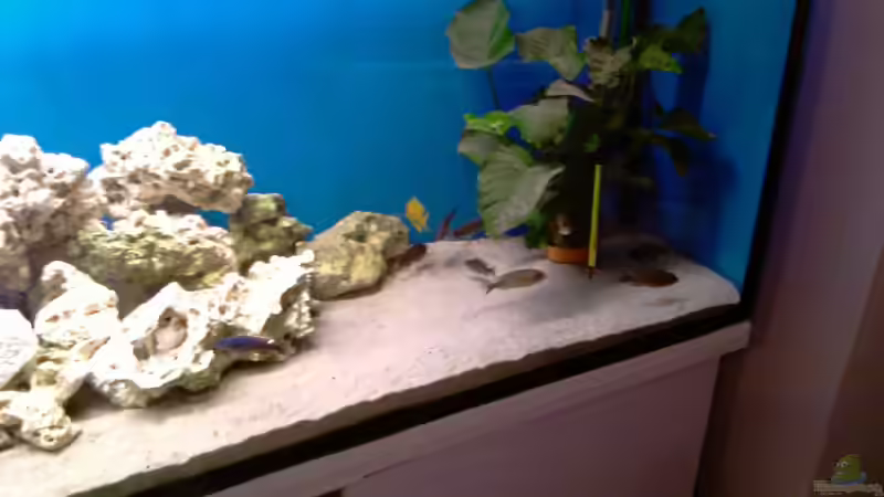 becken alt von cracky (2)