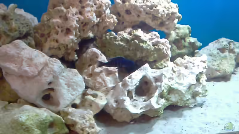 becken alt von cracky (4)