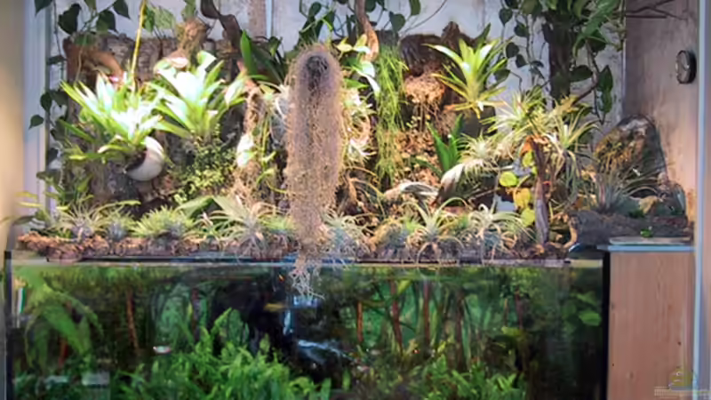 Becken alt von Der Südamerikaner (14)