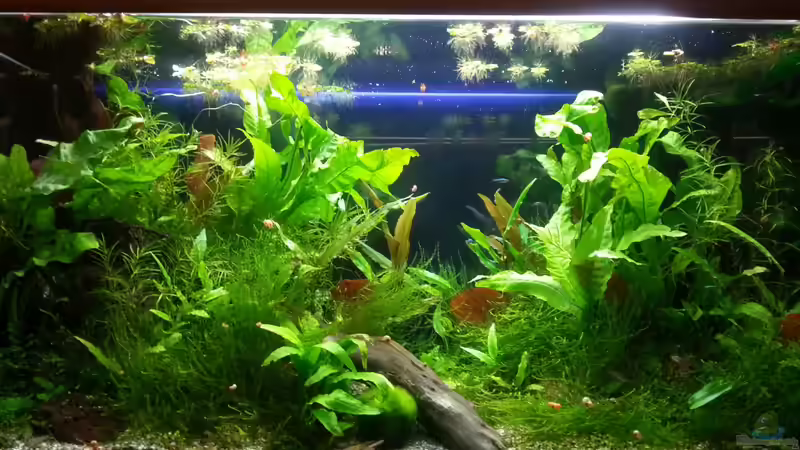 Becken am 01.10.2013 von Melanie (7)