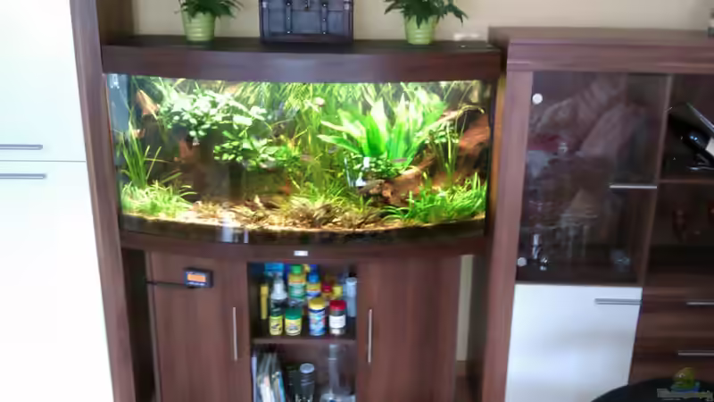 Becken am 02.08.12 von Biffty (1)