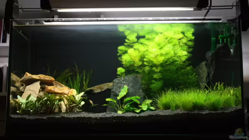 Becken am 02.09.08 von 77Markus (3)