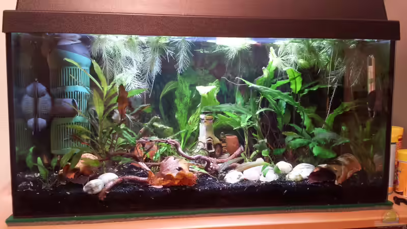 Becken am 04.01.2017 von Jens Holzner (2)