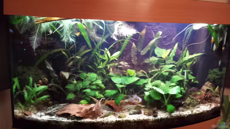 Becken am 04.01.2017 von Jens Holzner (2)